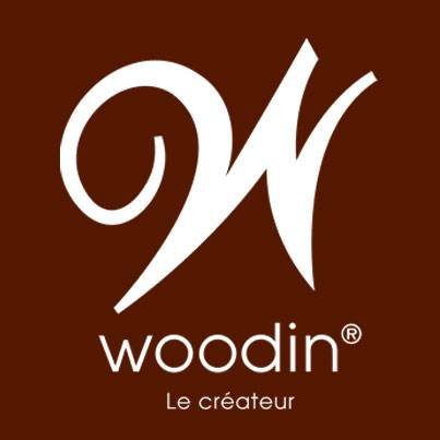 woodin 1